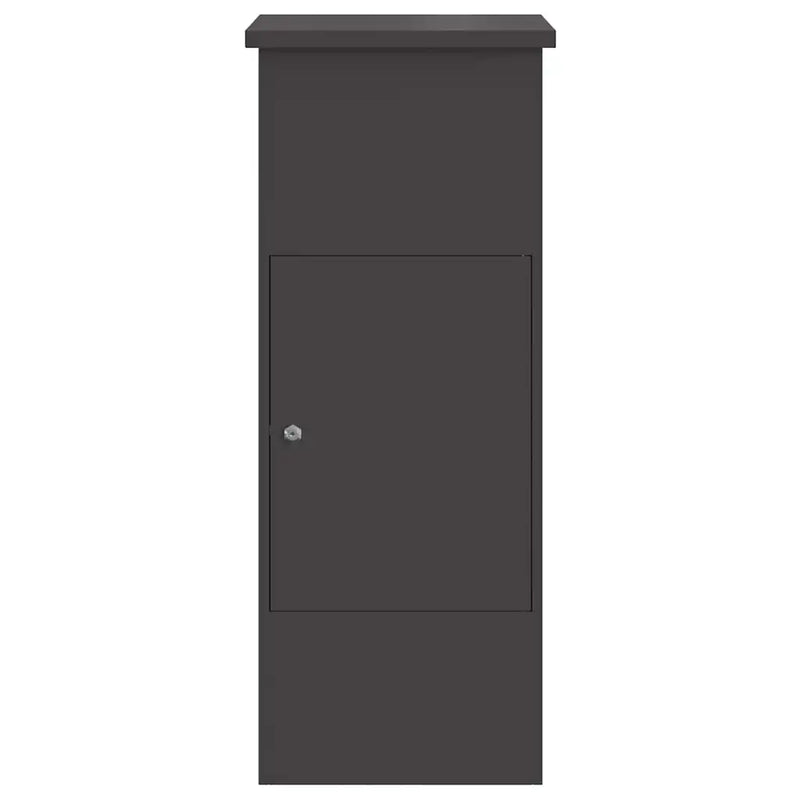 Parcel Drop Box with Storage Black 44,5 x 29 x 110,5 cm Steel