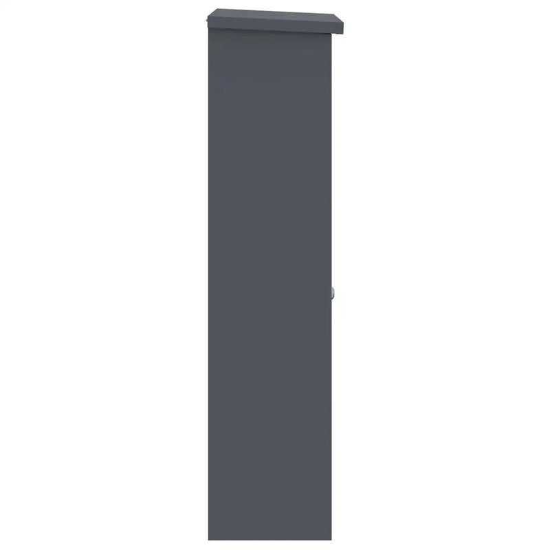 Parcel Drop Box with Door Anthracite 44,5 x 29 x 110,5 cm Steel