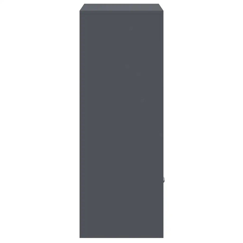 Parcel Drop Box with Storage Anthracite 41 x 38 x 103 cm Steel