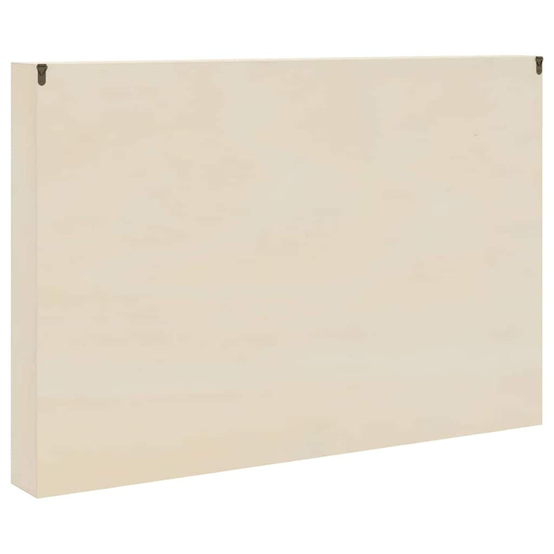 vidaXL Wooden Collector's Display Case Brown 80 x 8.5 x 54 cm Plywood