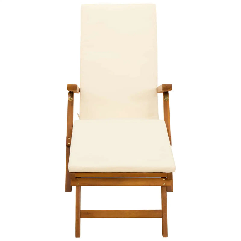 Reclining and Folding Sunlounger 55 x 146 x 91 cm