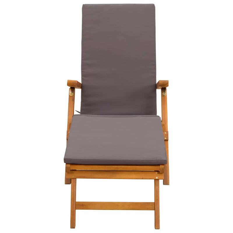 Reclining and Folding Sunlounger 55 x 146 x 91 cm