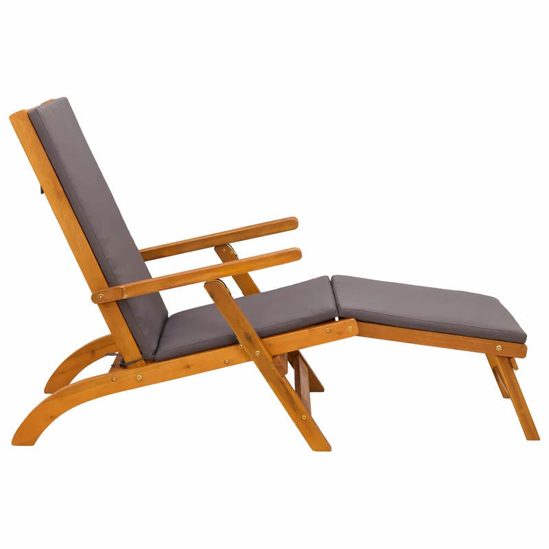 Reclining and Folding Sunlounger 55 x 146 x 91 cm