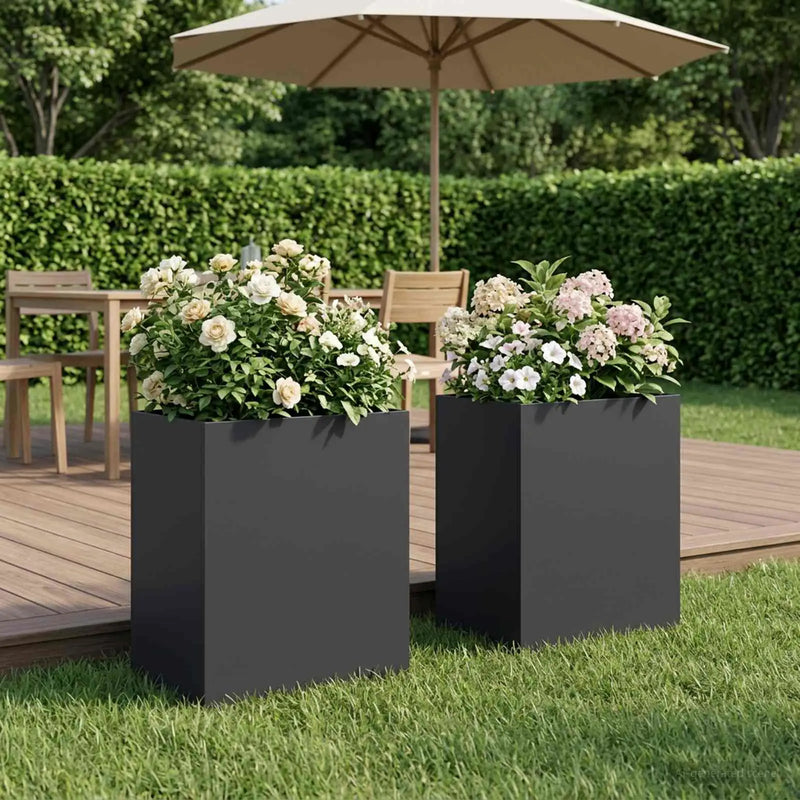 Garden Planter 2 pcs Black 40 x 30 x 40 cm Cold-rolled Steel