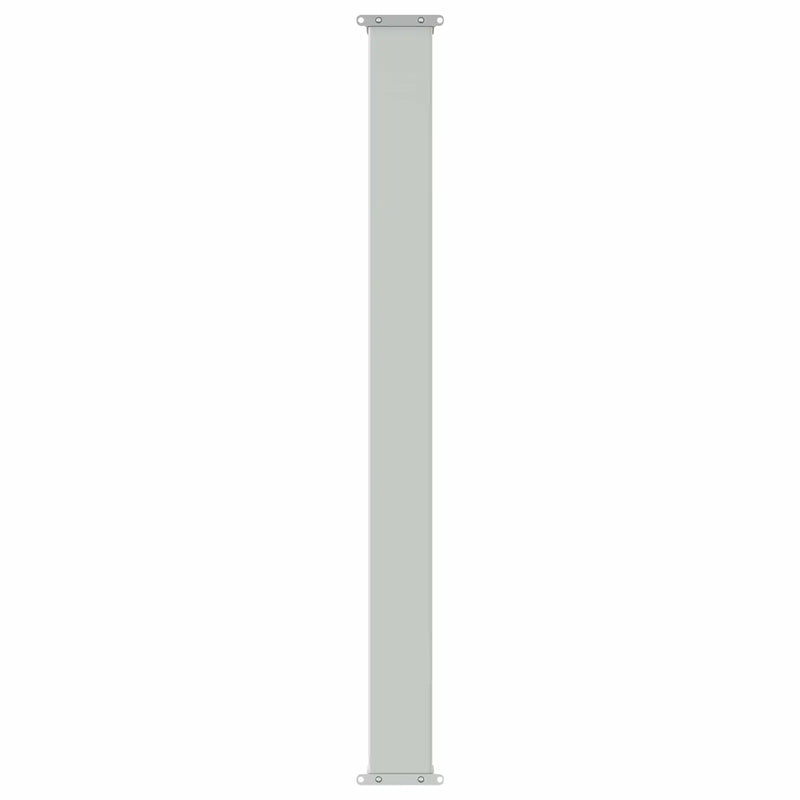 Retractable Side Awning Anthracite 300 x 100 cm Polyester