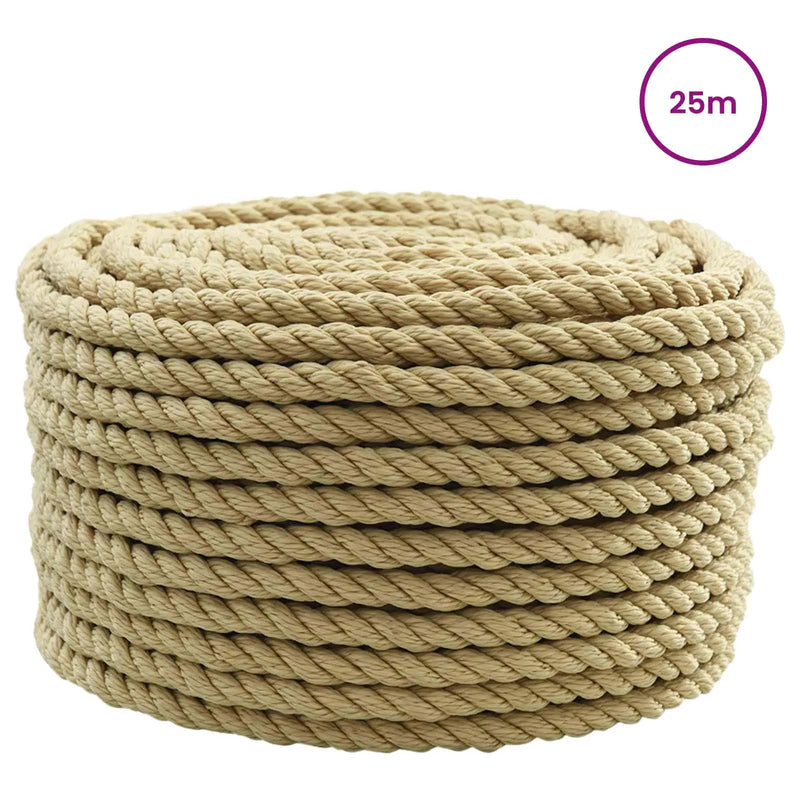 Boat Rope 25 m 1 Natural PP