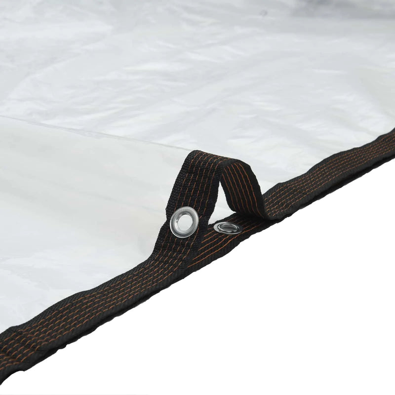 Tarpaulin with Eyelets Transparent 3 x 4 m Polyethylene