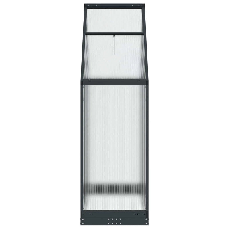 Garden Greenhouse with Door Anthracite 183.5 x 63.5 x 207 cm