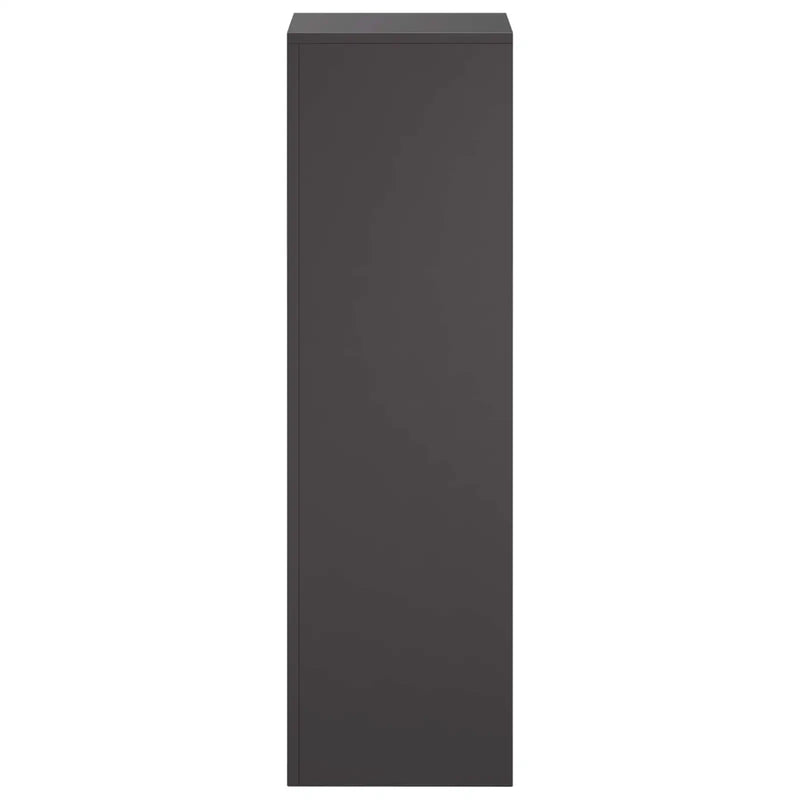 Plant Stand 2 pcs Black 30 x 30 x 100 cm Steel