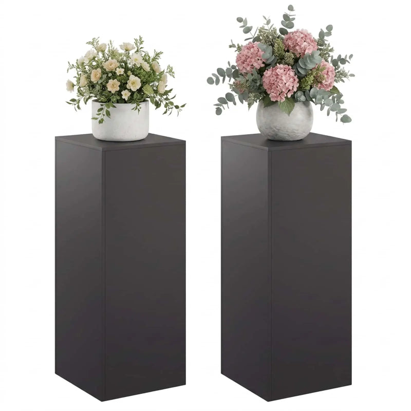 Plant Stand 2 pcs Black 40 x 40 x 100 cm Steel