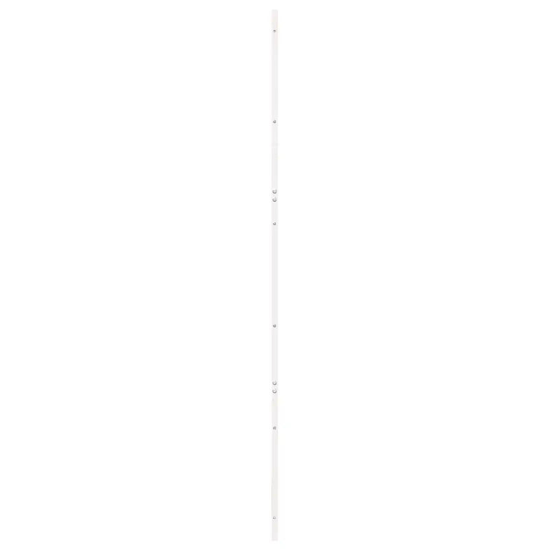 Barn Door White 100 x 2,5 x 208 cm Solid Pine Wood