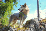 True Love Cooling Vest - Yellow, XL-1962324892552663044