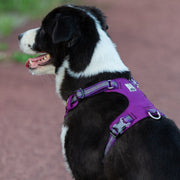True Love Lightweight Reflective Harness - Purple, XS-1831155642560286725