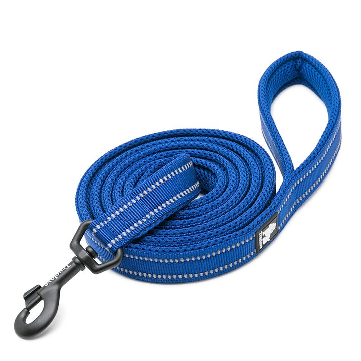 True Love Reflective Pet Leash 2m - Royal Blue, S-1962324899645231105