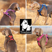 True Love No Pull Explosion Proof Dog Harness - Orange, L-1831155635748737027