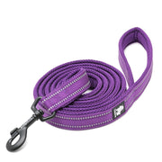 True Love Reflective Pet Leash 2m - Purple, S-1962324902300225536