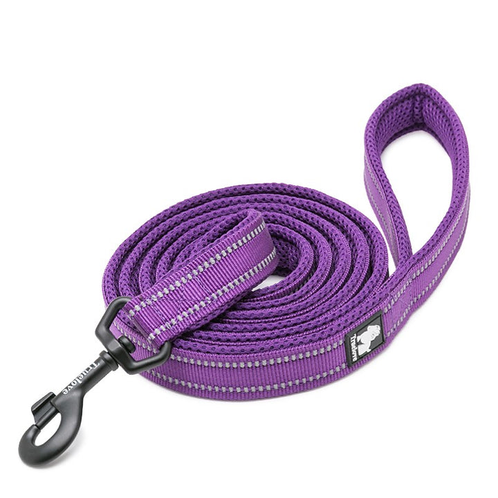 True Love Reflective Pet Leash 2m - Purple, L-1962324902631575553