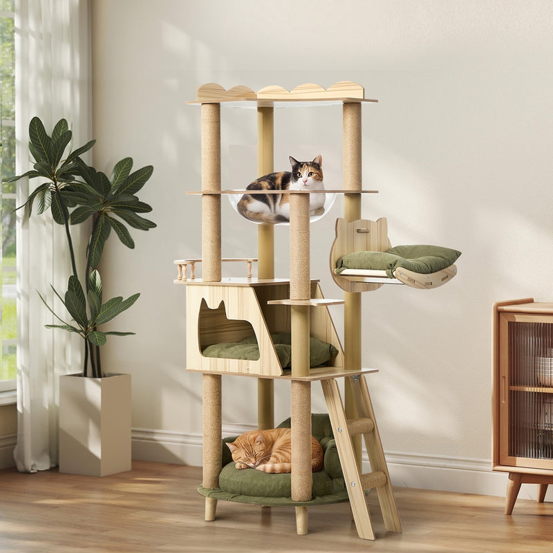 Alopet 152cm Cat Tree Sofa Bed Condo Clear Capsule Bowl Scratch Post