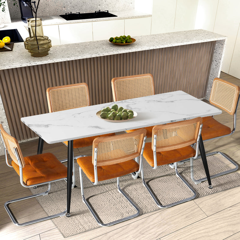Oikiture 2x Rattan Dining Chair Steel Frame Leather Seat Brown