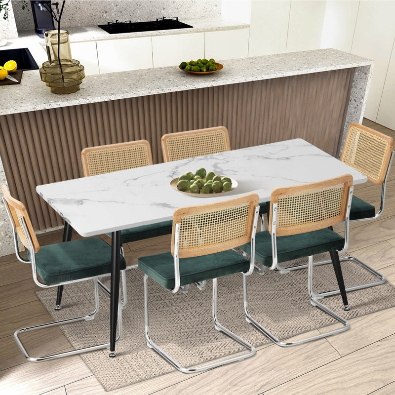 Oikiture 2x Rattan Dining Chair Cesca Replica Cantilever Velvet