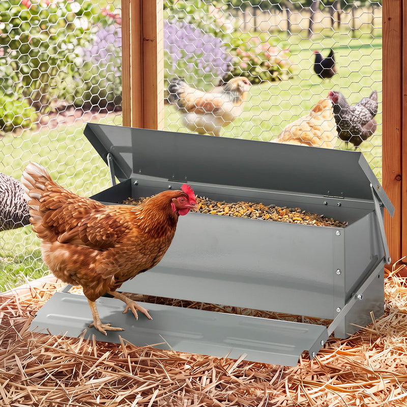 Alopet Automatic Chicken Food Feeder Galvanized Treadle