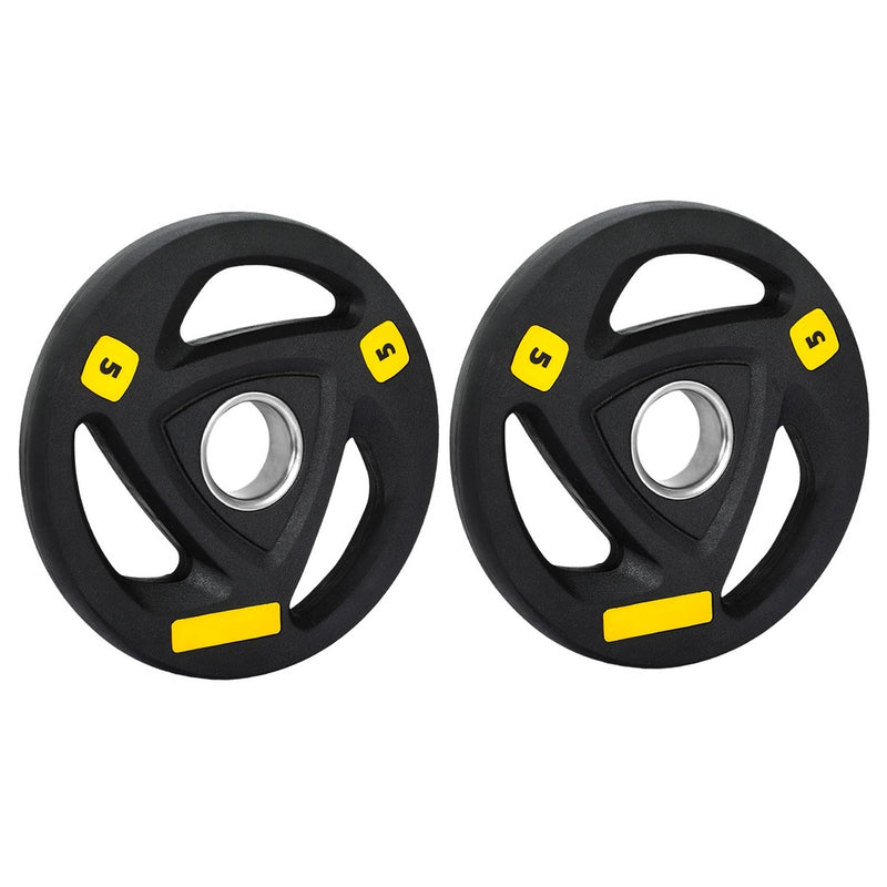 Everfit Weight Plates Olympic 5kgx2 Dumbbells Barbells Plate Weight Lifting Home