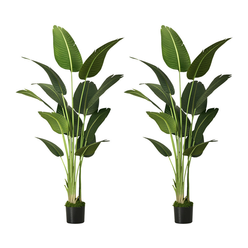 Livsip 2 Pack Artificial Bird of Paradise 180cm Fake Tree Home Decor