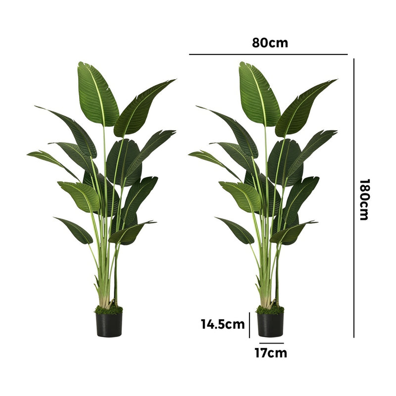 Livsip 2 Pack Artificial Bird of Paradise 180cm Fake Tree Home Decor