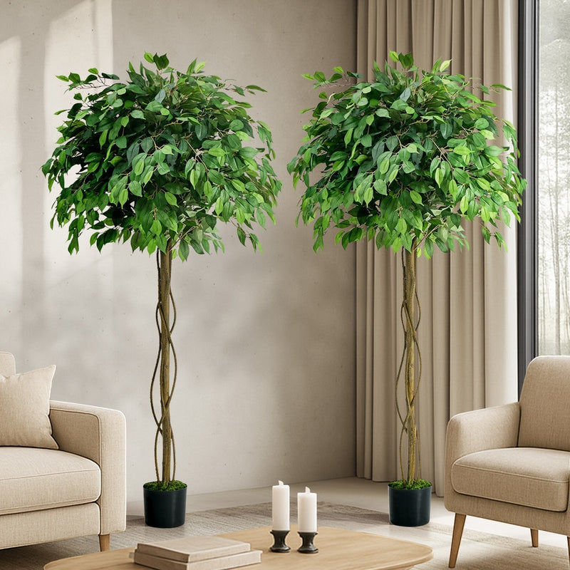 Livsip 2 Pack Ficus Tree 180cm Faux Plant Home Decor