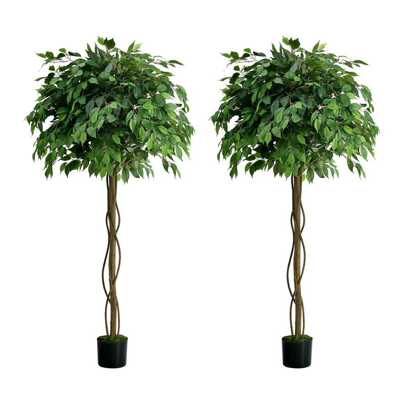 Livsip 2 Pack Ficus Tree 180cm Faux Plant Home Decor