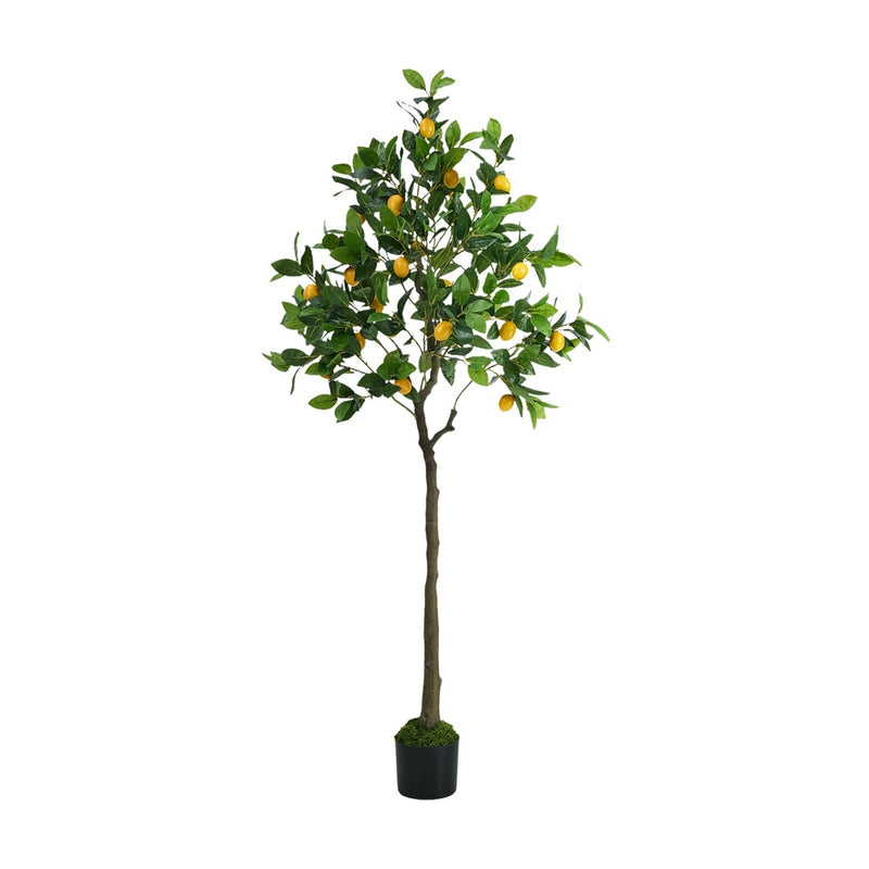 Livsip 150cm Lemon Tree Faux Plant Home Decor