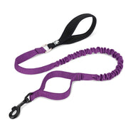 True Love Military Dog Leash 2.5 cm width and 1.4 m length - Purple M-1962324905538228225