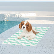 Pawz Pet Cooling Mat S Green-1954802431669964806