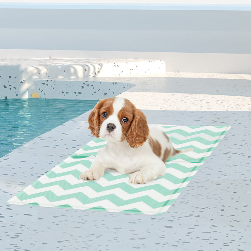 Pawz Pet Cooling Mat S Green-1954802431669964806