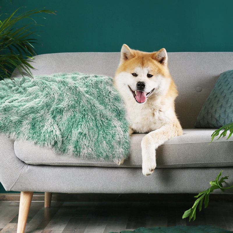 PaWz Dog Blanket Pet Cat Mat Puppy Warm Teal-1954802545037807622