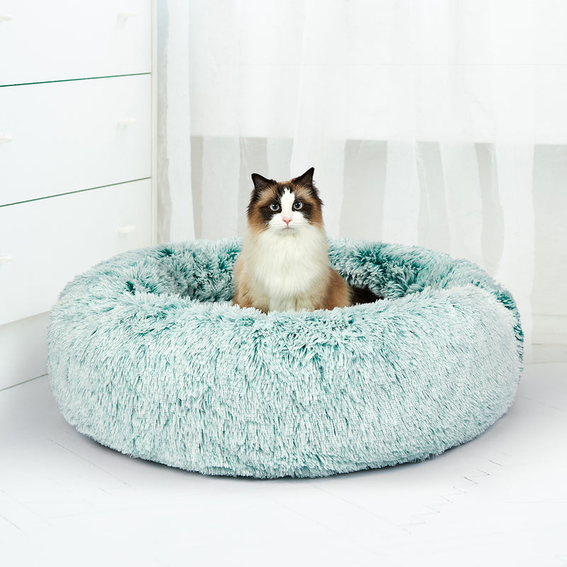 PaWz Replaceable Cover For Dog Calming XL Teal Cover X-Large-1954802521067360263