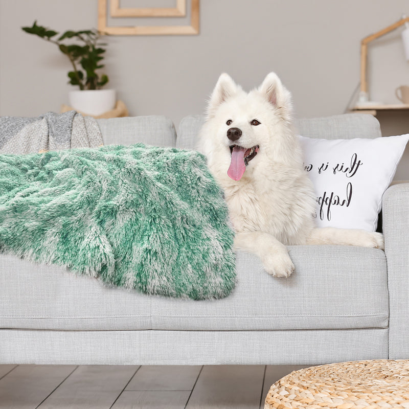 PaWz Dog Blanket Pet Cat Mat Puppy Warm Teal-1954802545037807623