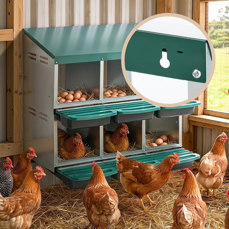 Alopet 6 Holes Chicken Nesting Box Hen Chook Laying Boxes
