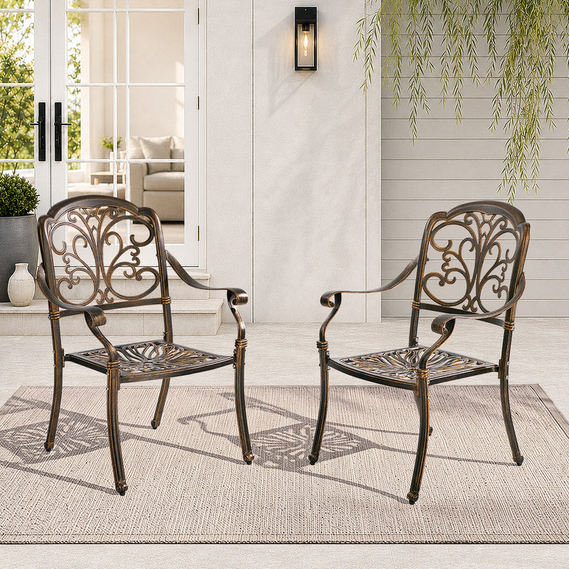 Livsip 2PCS Outdoor Patio Dining Chairs Cast Aluminium
