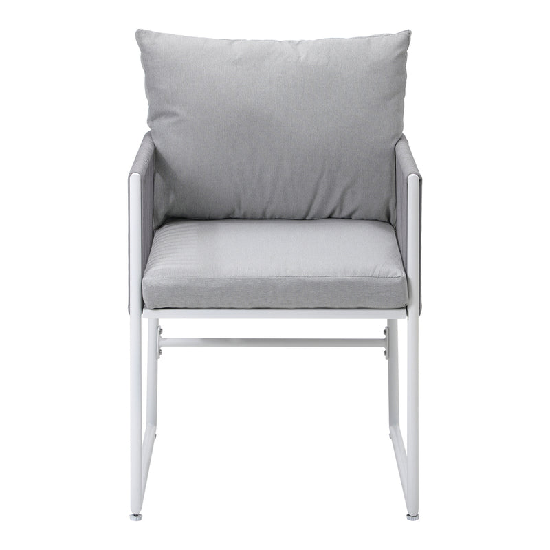 Livsip Outdoor Dining Chairs 2 Pieces Lounge Patio Garden Set