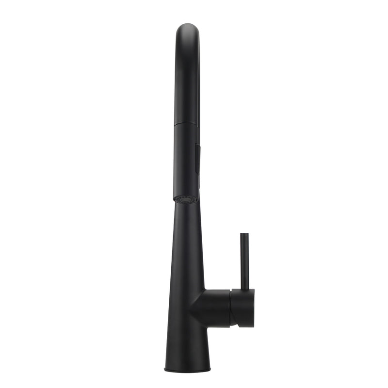 Welba Kitchen Mixer Tap Pull Out Faucet 2-Mode Swivel Black
