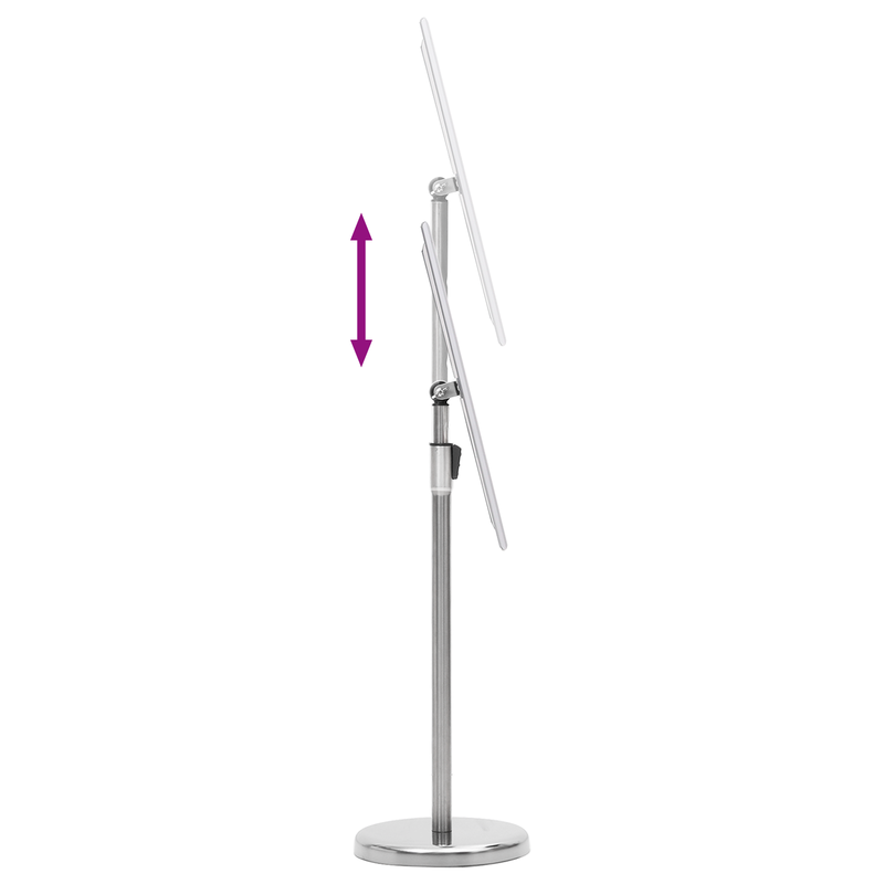 vidaXL Poster Stands 2 pcs Silver 32.7 x 24 x 108 cm Aluminium