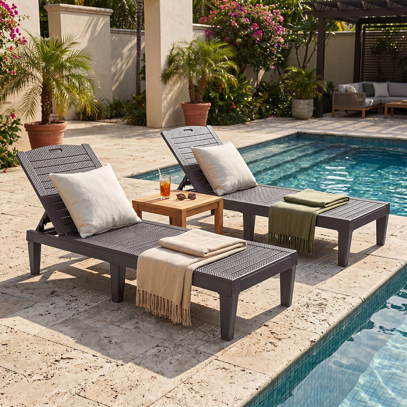 Livsip 2PCS Sun Lounger Patio Outdoor Furniture Brown
