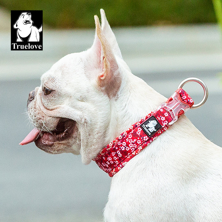 True Love Floral Dog Collar - Red, XS-1962324873170784258