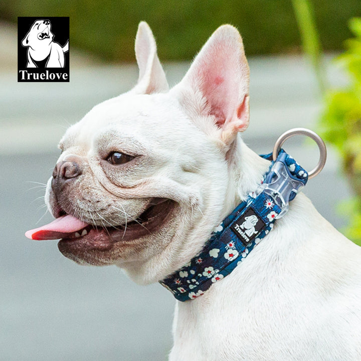 True Love Floral Dog Collar - Blue, 3XL-1962324872852017155