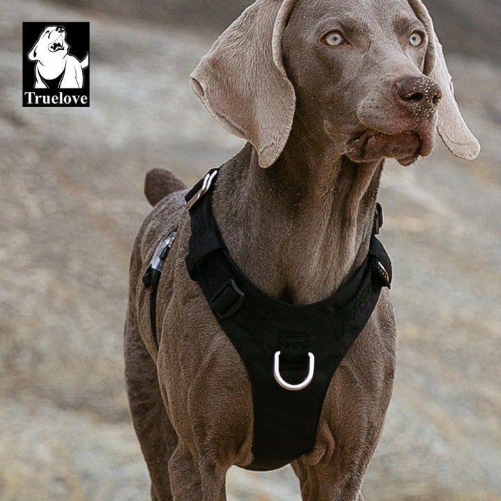 True Love Lightweight Dog Harness - Black, 2XS-1962324857576361990