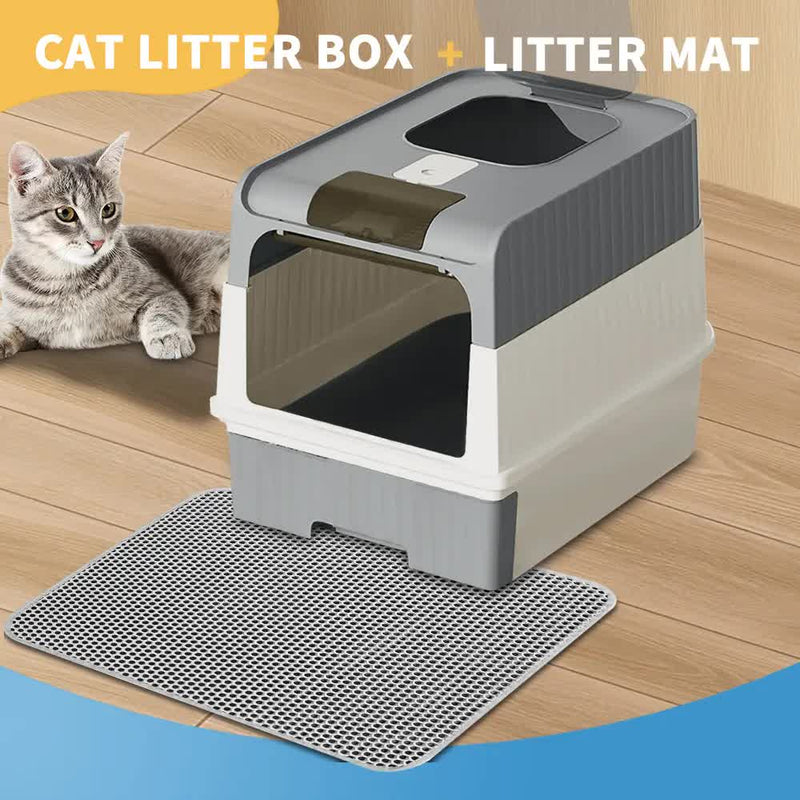 CAT-GREY-MAT