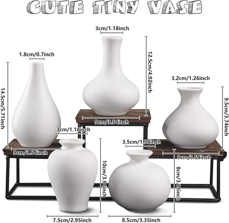 Ceramic Set of 5 White Vases for Home D�cor