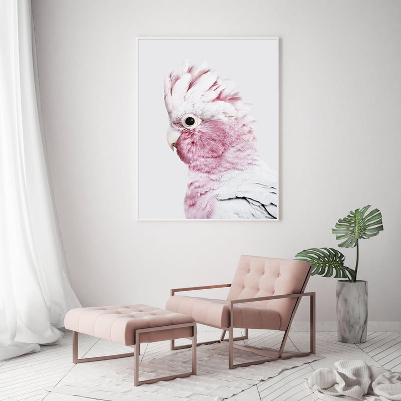 Wall Art 40cmx60cm Pink Galah White Frame Canvas