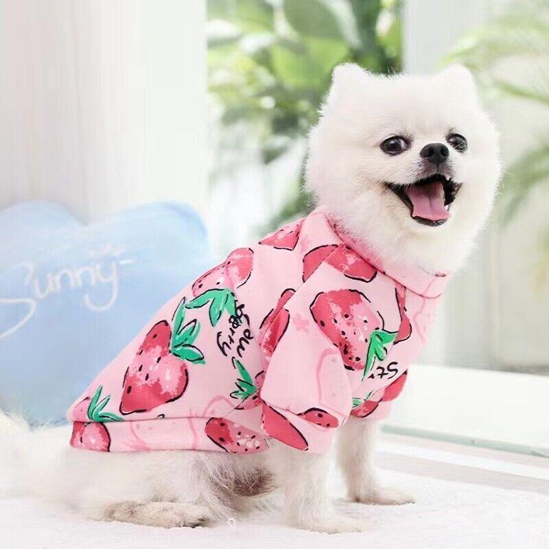 S Size Cute Pet Dog Warm Jumper Sweater Clothes Cat Knitwear Knitted Coats Winter - Blue Rabbit